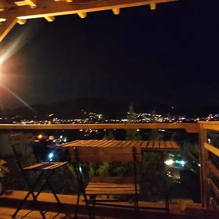 Rentavill Zeus * 博德鲁姆